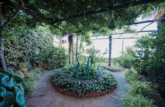 Villa la Campanella in Ravello - Photo 21