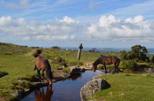 Foto 53 - Higher Mapstone - A True Retreat on 4 Acres of Private Land on Dartmoor