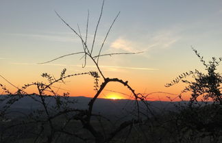 Photo 1 - Holidays In The Heart Of Chianti