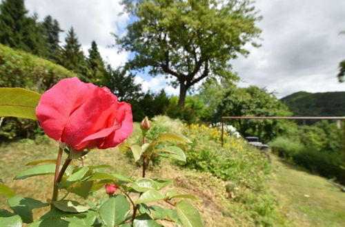 Photo 21 - Holiday Home in Deifeld With Balcony