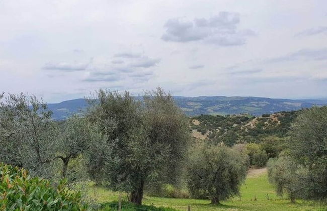 Tuscan Scenic View Stay - Foto 18