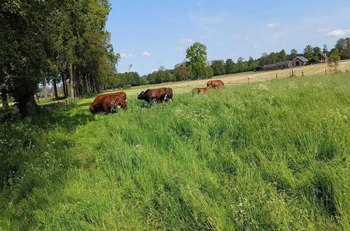 Photo 23 - Farmhouse in De Heurne Near the Forest