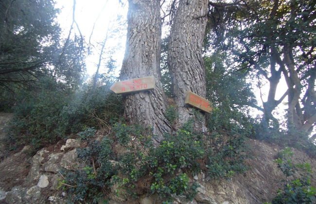 Uso di Mare 7 in Marina di Andora - Foto 16