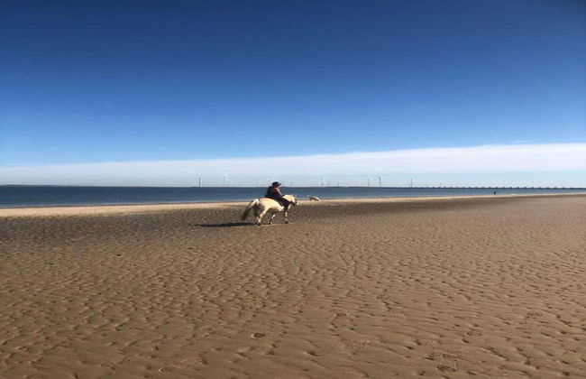 Cozy 4-person Stay at Rustenpolder - Foto 25