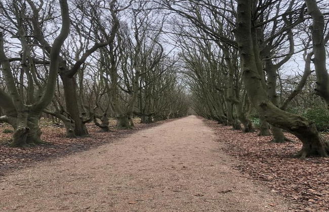 Cozy 4-person Stay at Rustenpolder - Foto 27