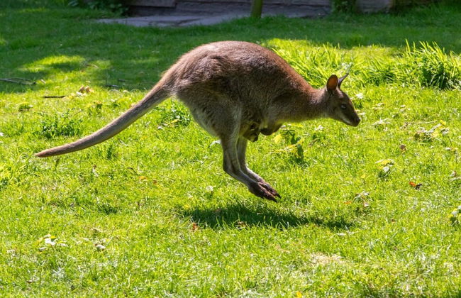 Cozy 4-person Stay at Rustenpolder - Foto 20