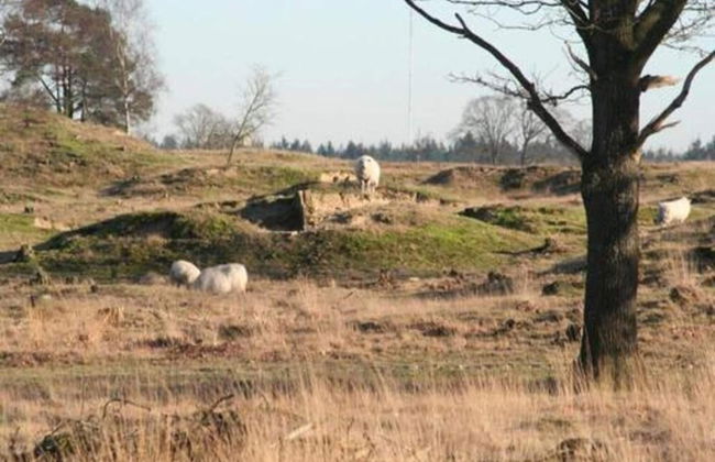 Unique Holiday Home in Noordwolde With Garden - Foto 37