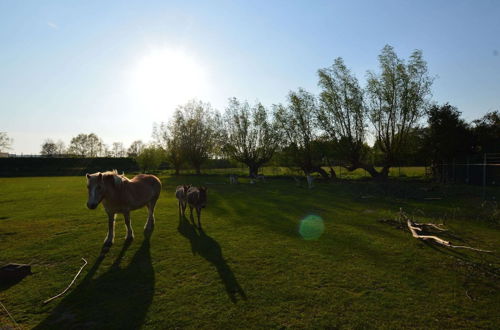 Photo 25 - House Situated Peacefully on a Vast Green