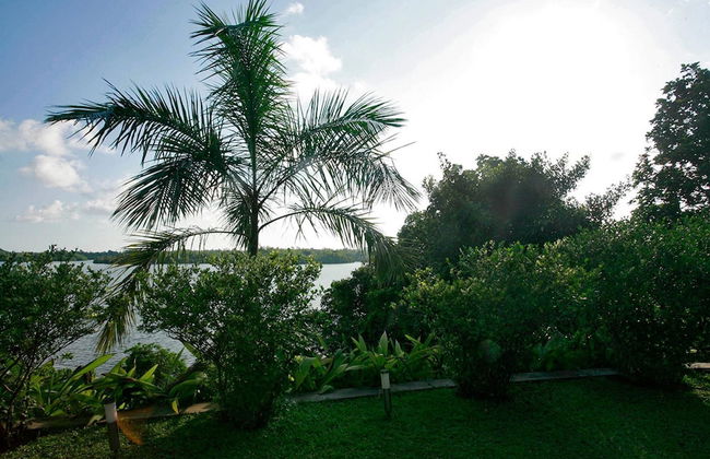 Elevated Villa Overlooking Tranquil Koggala Lake - Foto 4