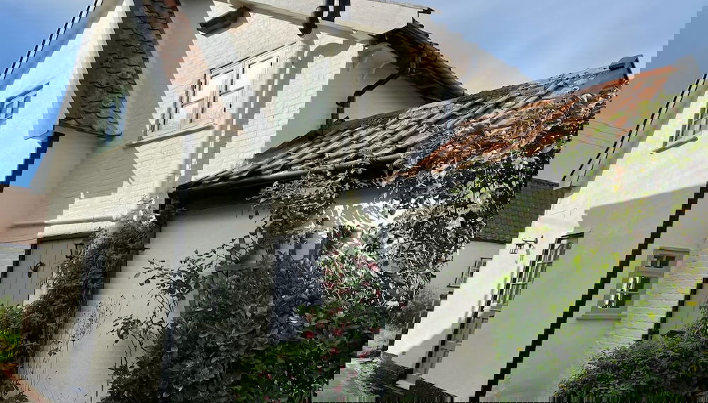 Image principale