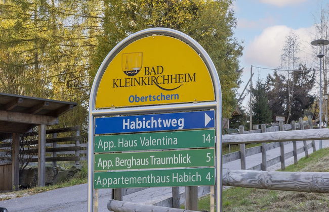 Apartment in Bad Kleinkirchheim Near Ski Lift - Foto 35