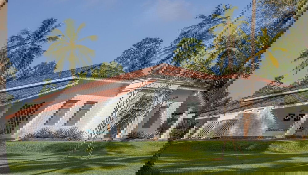 Image principale