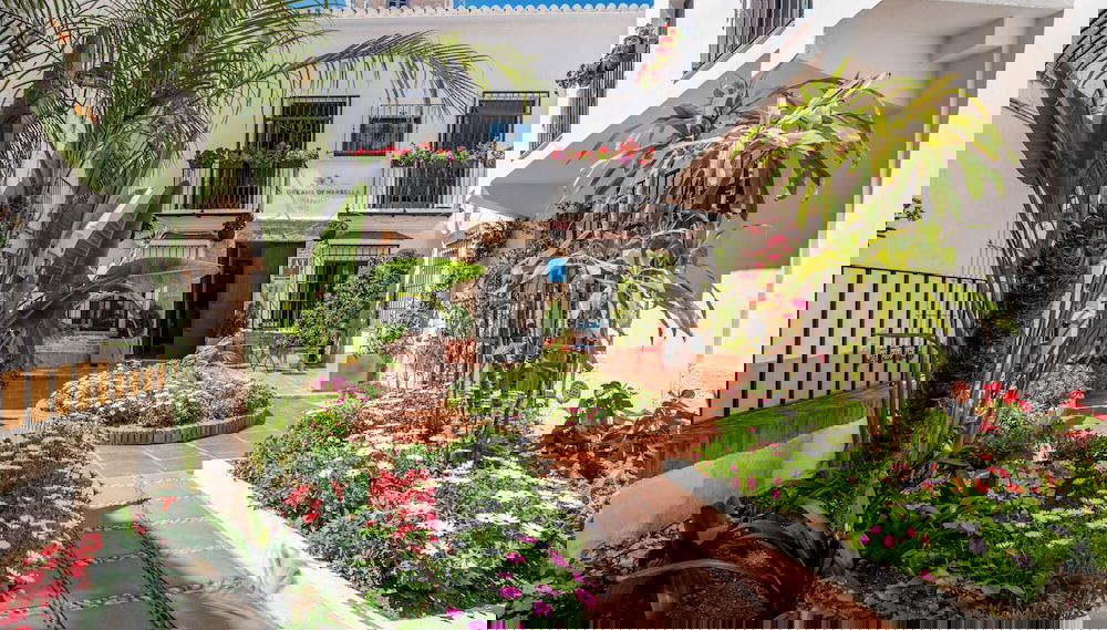 Image principale