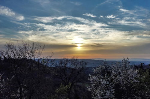 Foto 41 - La Casa Nel Bosco D’arte - Passo del Sugame, Greve in Chianti