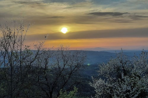 Foto 43 - La Casa Nel Bosco D’arte - Passo del Sugame, Greve in Chianti