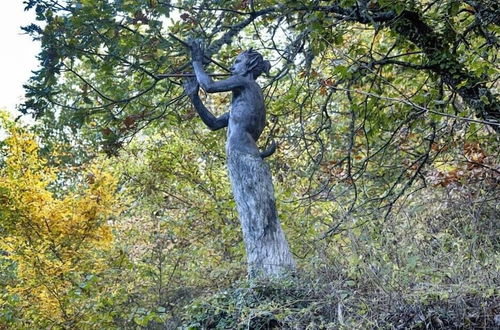 Foto 44 - La Casa Nel Bosco D’arte - Passo del Sugame, Greve in Chianti