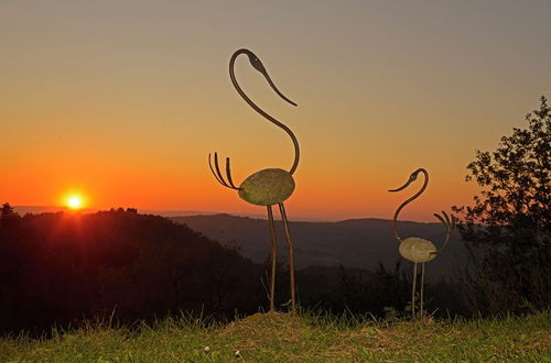 Foto 40 - La Casa Nel Bosco D’arte - Passo del Sugame, Greve in Chianti