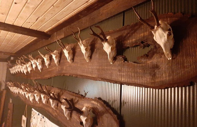 Ottenskamp4 en Het Achterhuis - Photo 47
