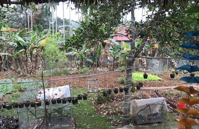 Bee Lucky Homestay - Foto 36