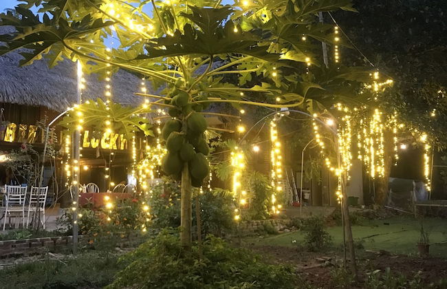 Bee Lucky Homestay - Foto 41