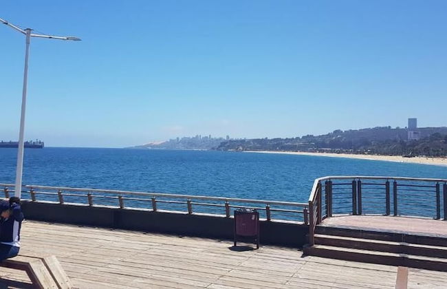 Viña del Mar - Foto 11