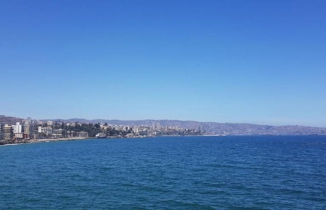 Viña del Mar - Foto 12