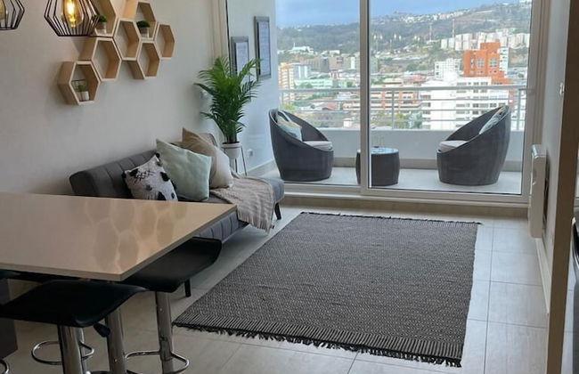 Viña del Mar - Foto 4