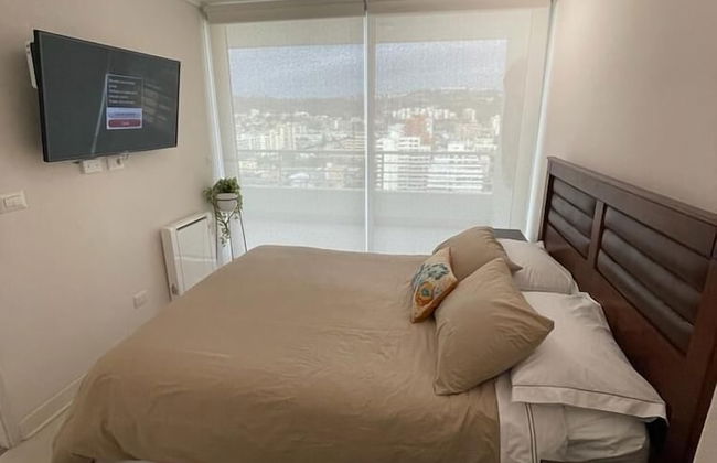 Viña del Mar - Foto 1