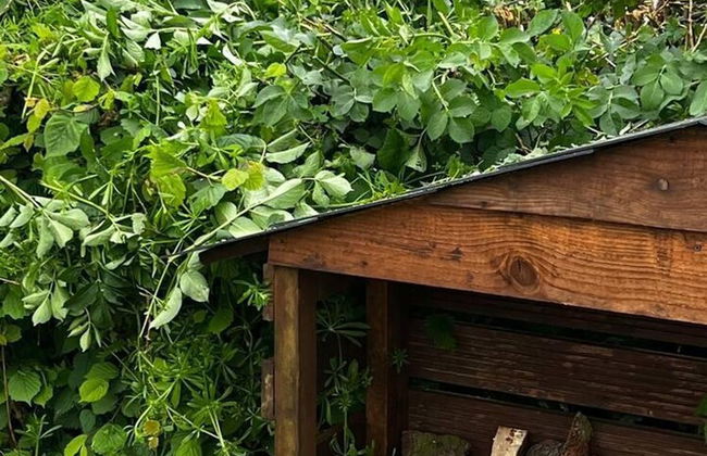 Cute and Cosy Shepard hut With Wood Fuel hot tub - Foto 32