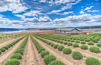 Foto 1 - Quincy Home on Lavender Farm w/ River Views