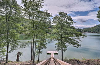 Photo 1 - Watauga Lake Butler Retreat w/ Private Dock