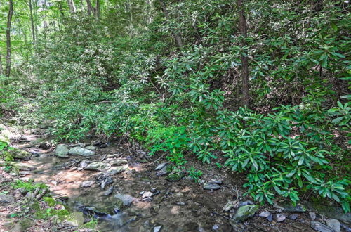 Foto 10 - Creekside Smoky Mountain Paradise < 1 Mi to Hiking