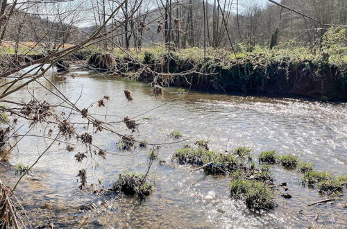 Photo 3 - 'the Creek' Winfield Gem: 73 Acres of Privacy