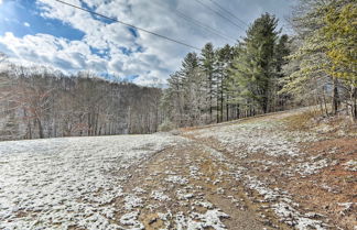 Photo 3 - Hilltop Home w/ Grill, In Wayne Nat'l Forest