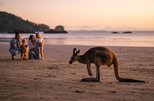 Photo 7 - Cape Hillsborough Nature Tourist Park