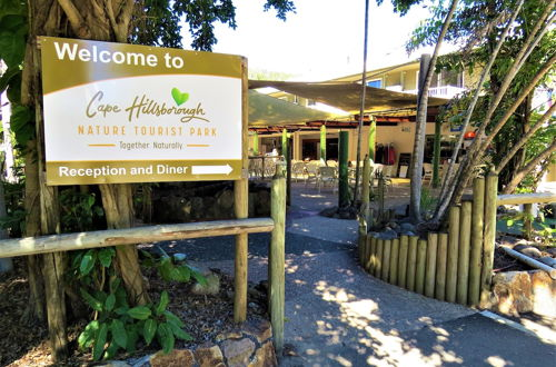 Foto 5 - Cape Hillsborough Nature Tourist Park