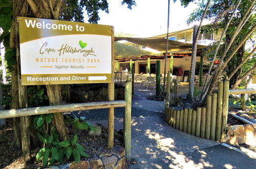 Photo 31 - Cape Hillsborough Nature Tourist Park