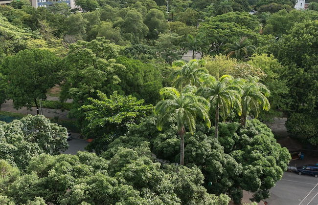 Ótimo Flat Bairro da Jaqueira Recife até 3 pessoas O Coração Verde da Cidade PBO902 - Foto 24