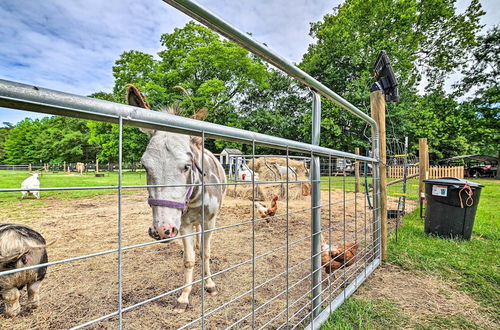 Photo 31 - Stunning Sumter Home on Active 330-acre Farm