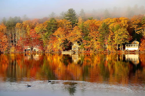 Photo 8 - Waterfront Escape w/ Kayak, Paddle Boards, & Sauna