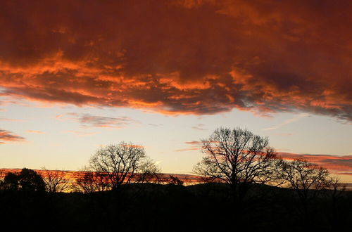 Photo 6 - Captivating 1-bed Chalet in Newbridge on Wye