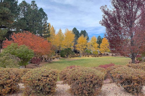 Photo 13 - Pet-friendly Flagstaff Escape w/ Fenced-in Yard