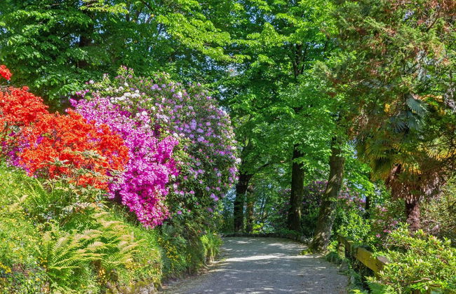 Country Side Of Lake Maggiore - Foto 23