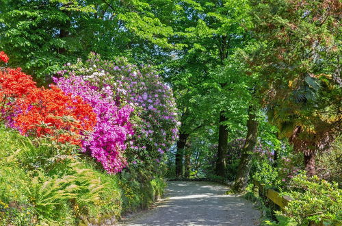 Foto 21 - Country Side Of Lake Maggiore