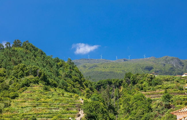 Vila do Largo A by Madeira Sun Travel - Photo 6