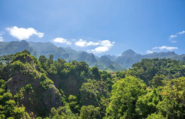 Vila do Largo B by Madeira Sun Travel - Photo 12