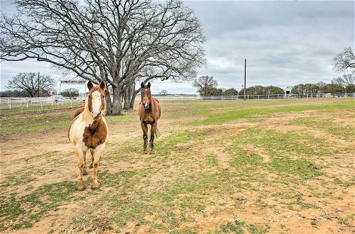 Photo 2 - Dog-friendly Texas Ranch w/ Patio, Horses On-site