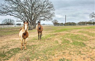 Foto 2 - Dog-friendly Texas Ranch w/ Patio, Horses On-site