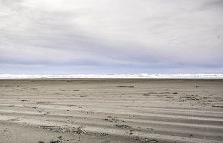 Foto 2 - Coastal Washington Getaway: Walk to Beach