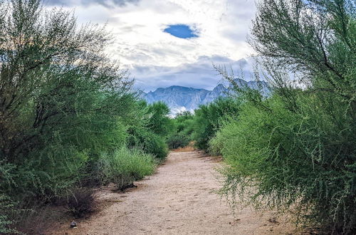 Photo 4 - Family-friendly Oro Valley Home w/ Mtn Views